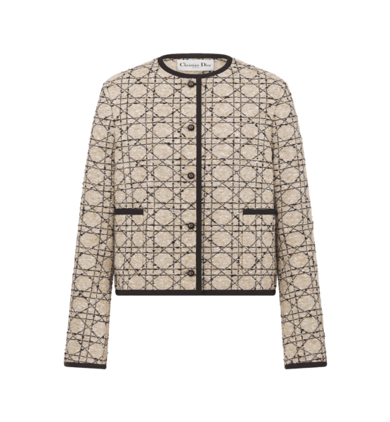 เสื้อผ้า Dior depositphotos bgremover